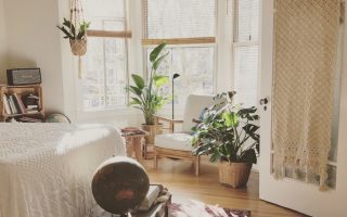 brown wooden framed white padded chair in between green indoor leaf plants inside bedroom