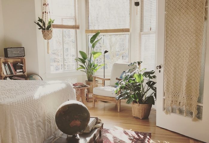 brown wooden framed white padded chair in between green indoor leaf plants inside bedroom