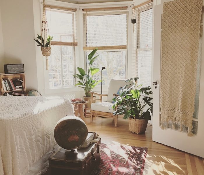 brown wooden framed white padded chair in between green indoor leaf plants inside bedroom