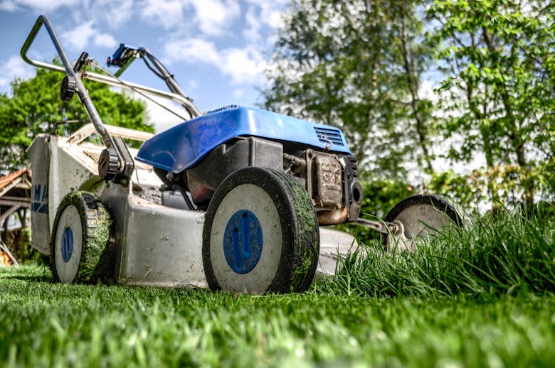 Close-up view of a lawn mower cutting grass in a garden on a sunny day.